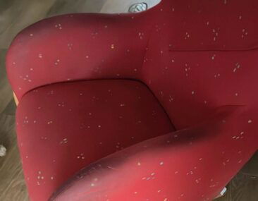 IMG-20260109-WA0028~3 (1)