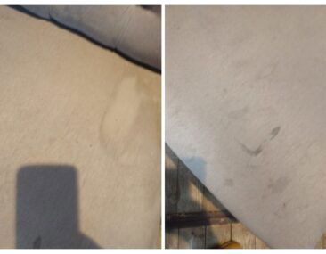 IMG_20190926_105942176-COLLAGE