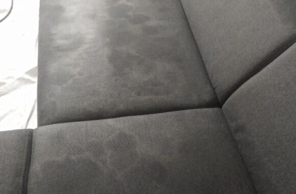 IMG_20210629_093725902 (1)