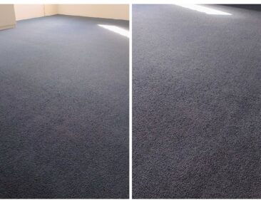 IMG_20250913_104803950_HDR_AE-COLLAGE