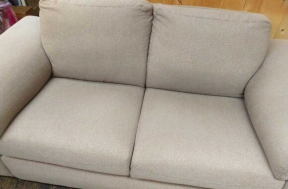 Bank Oegstgeest Hond Reinigen Afbeelding 5