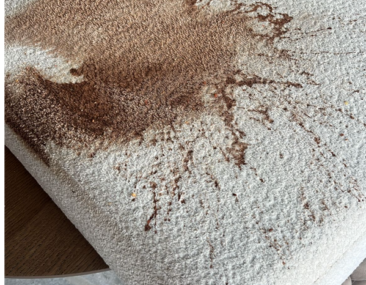 kots uit bank verwijderen teddy bank chocolade vlek meubelreiniging