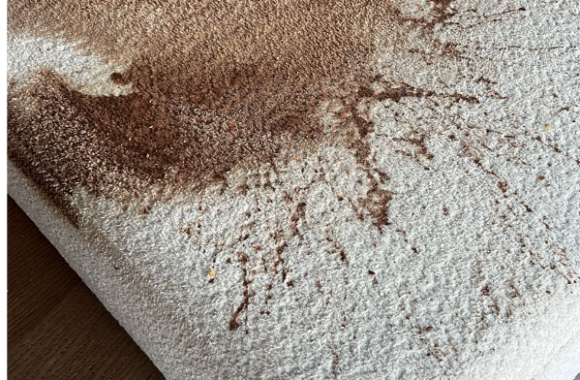 kots uit bank verwijderen teddy bank chocolade vlek meubelreiniging