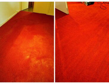 vloerbedekking echt reiniging