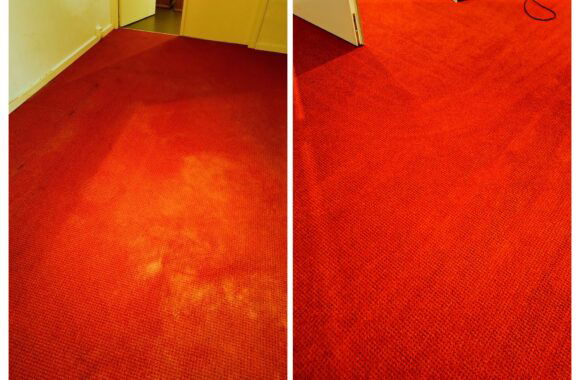 vloerbedekking echt reiniging